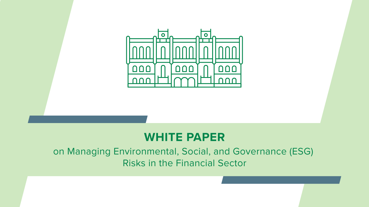 White Paper on Managing Environmental, Social, and Governance (ESG) Risks in the Financial Sector